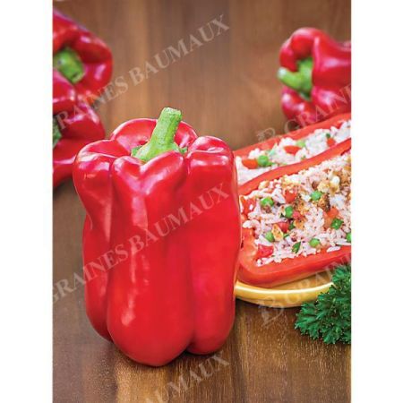 POIVRON F1 STUFF ENUFF