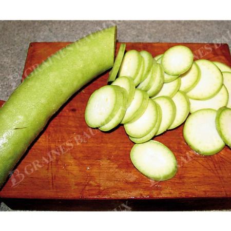 COURGETTE SLAOUI ou SLAWI ou CUCUZZI (lagenaria longissima)