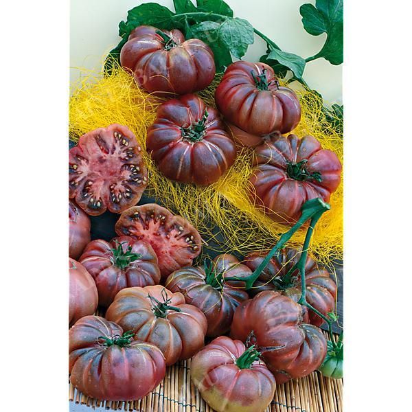 TOMATE TIM'S BLACK RUFFLES