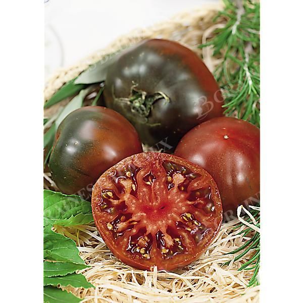 TOMATE F1 BRUNITO