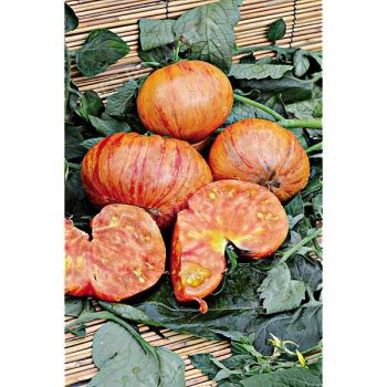 TOMATE LOVER’S LUNCH