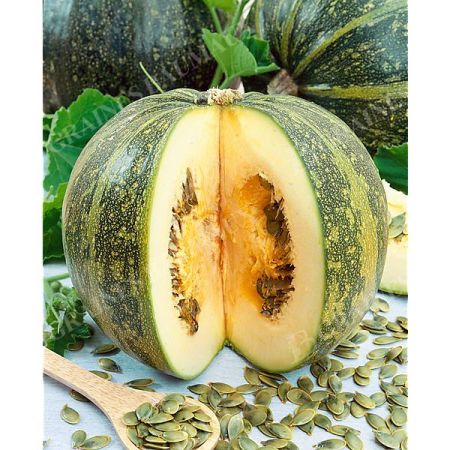COURGE GLEISDORFER