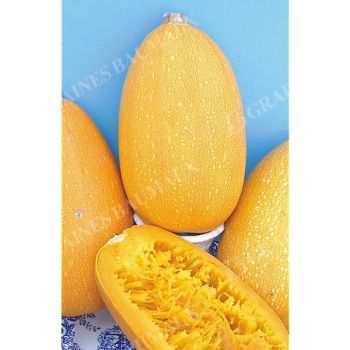 COURGE PYZA