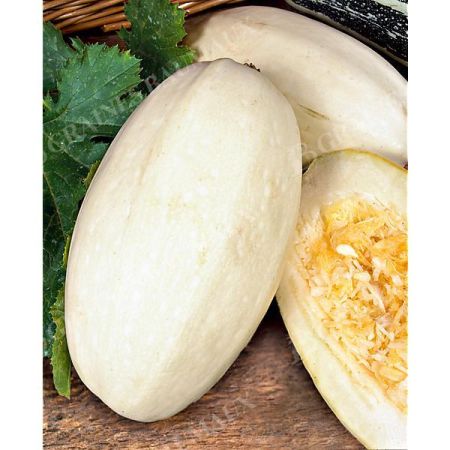 COURGE F1 TIVOLI