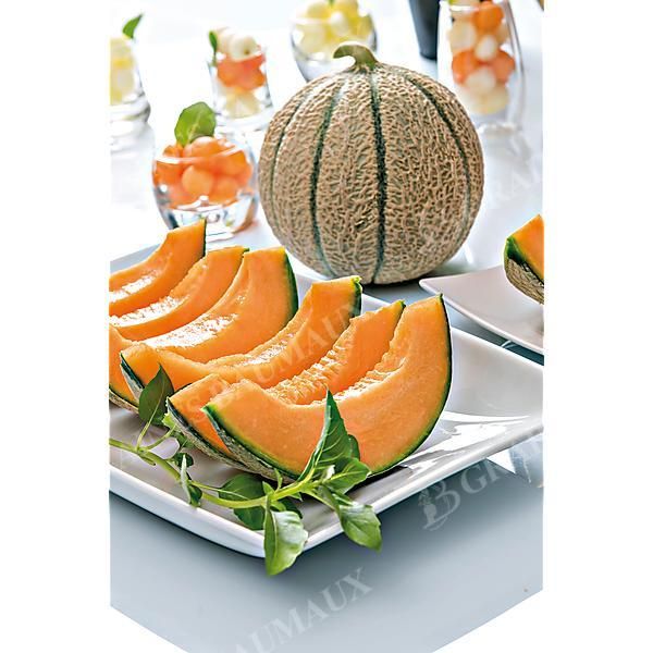 MELON F1 JENGA