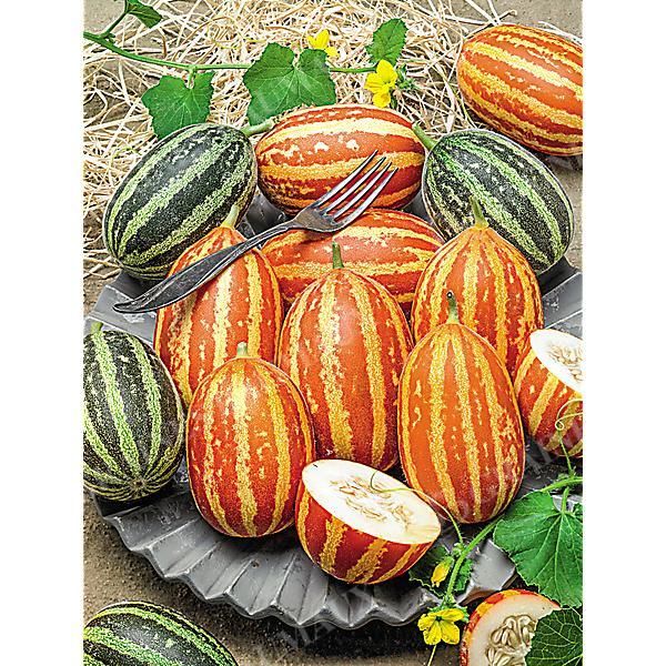 MELON RICH SWEETNESS
