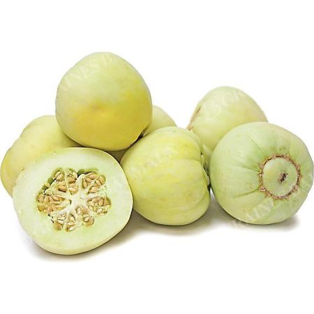 MELON SAKATA'S SWEET
