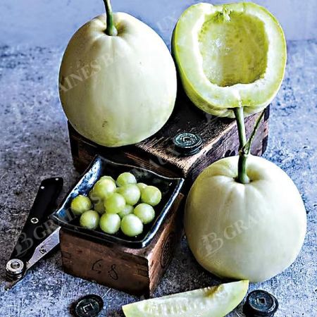 MELON SAKATA'S SWEET