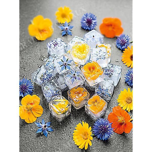 MÉLANGE de FLEURS COMESTIBLES
