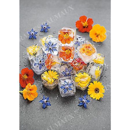 MÉLANGE de FLEURS COMESTIBLES
