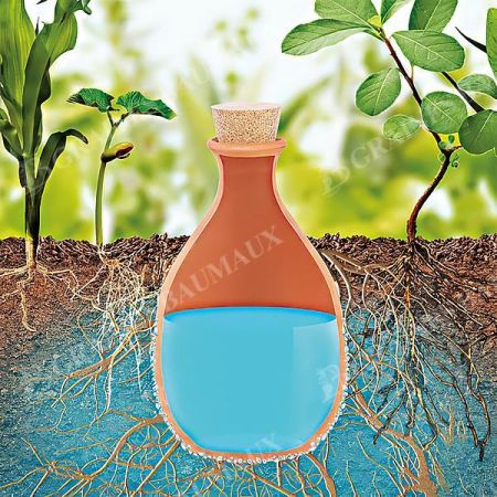 OLLA POT d’IRRIGATION en terre cuite 1,9 litre