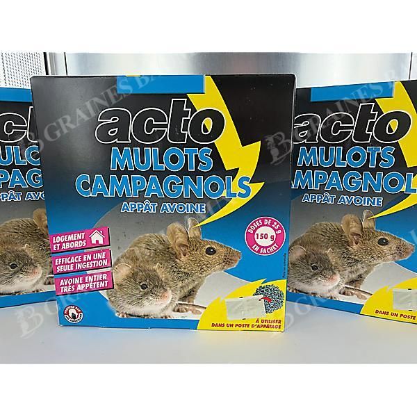 MULOTS-CAMPAGNOLS
