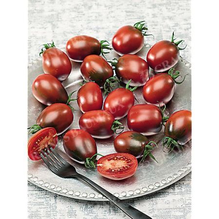 TOMATE greffée cerise F1 DATTOCHOCO