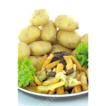 POMME de TERRE AGATA
