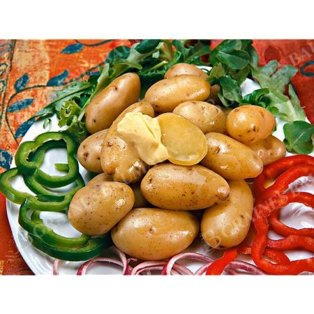 POMME de TERRE LUTINE