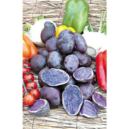 POMME de TERRE BLEUE d'ARTOIS® (bleue de la Manche)