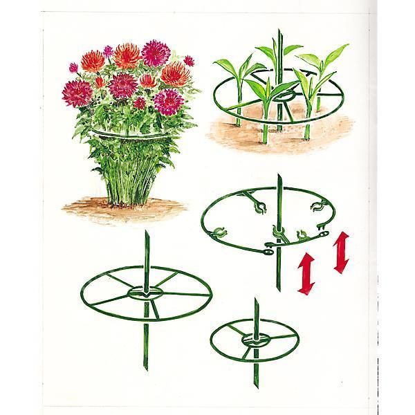 SOUTIENS pour PLANTES ROTO 40