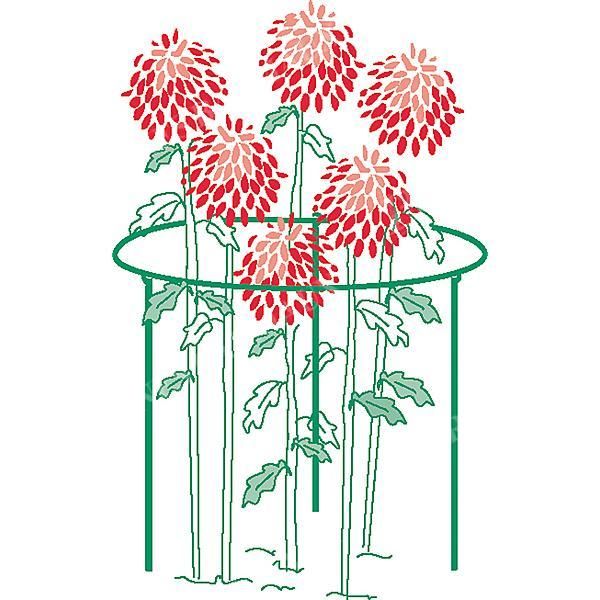 SUPPORT MÉTALLIQUE pour PLANTES HERBACÉES ROND...