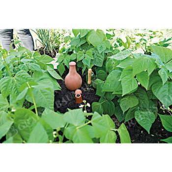OLLA POT d’IRRIGATION en terre cuite 1,5 litre