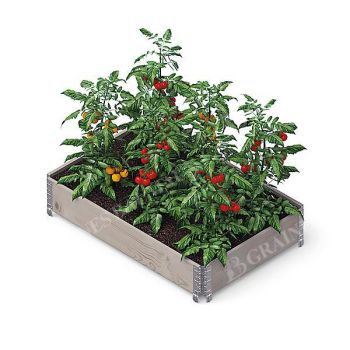 GARDEN BOX PRO 120 x 80 cm
