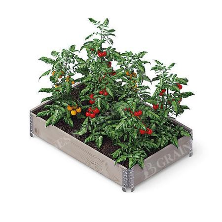 GARDEN BOX PRO 120 x 80 cm