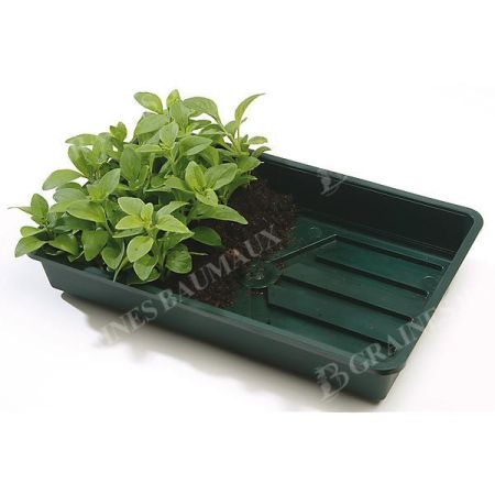 PLATEAUX de SEMIS RIGIDES