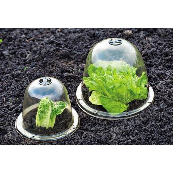 CLOCHES de FORÇAGE GM