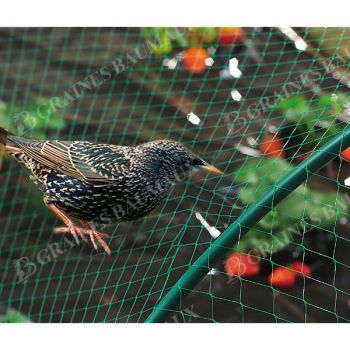BIRDNET