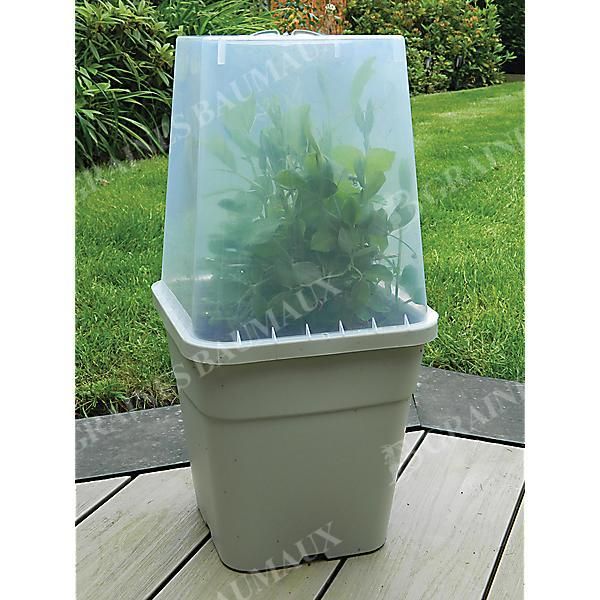 POT avec CLOCHE