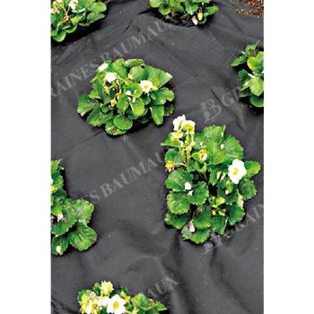 TOILE de PAILLAGE