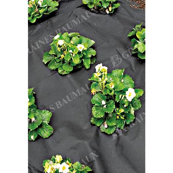 TOILE de PAILLAGE