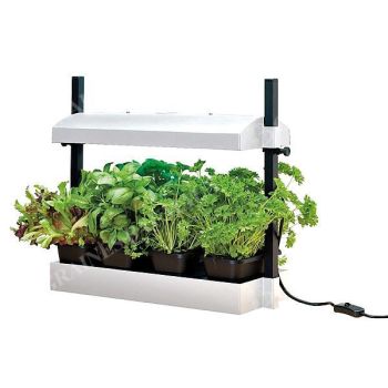 MICRO PROPAGATEUR LUMINEUX