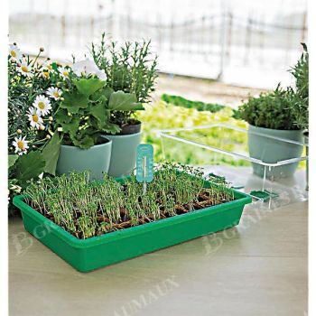 THERMOMÈTRE de GERMINATION