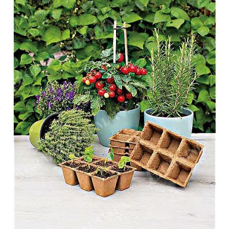 84 POTS CARRÉS de 5 cm de côté