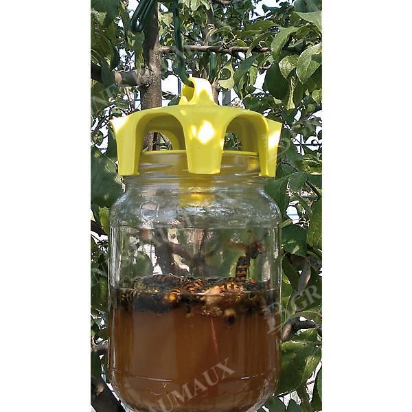 BIO PIÈGES CHROMOGÉNIQUES VASO TRAP®
