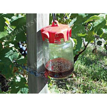 BIO PIÈGES CHROMOGÉNIQUES VASO TRAP® SPÉCIAL SUZUKII