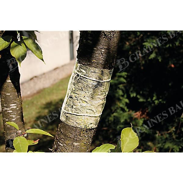 RUBAN de GLU pour FRUITIERS