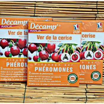 PHÉROMONE contre le VER de la CERISE
