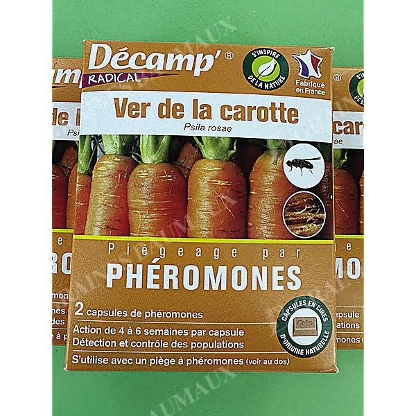PHÉROMONE contre le VER de la CAROTTE