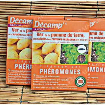 PHÉROMONE contre le TAUPIN (VER FIL de FER)
