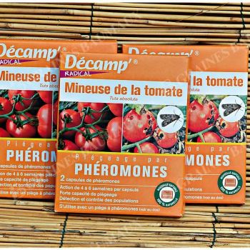 PHÉROMONE contre la MINEUSE de la TOMATE