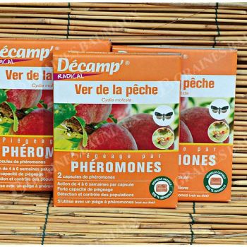 PHÉROMONE contre le VER de la PÊCHE
