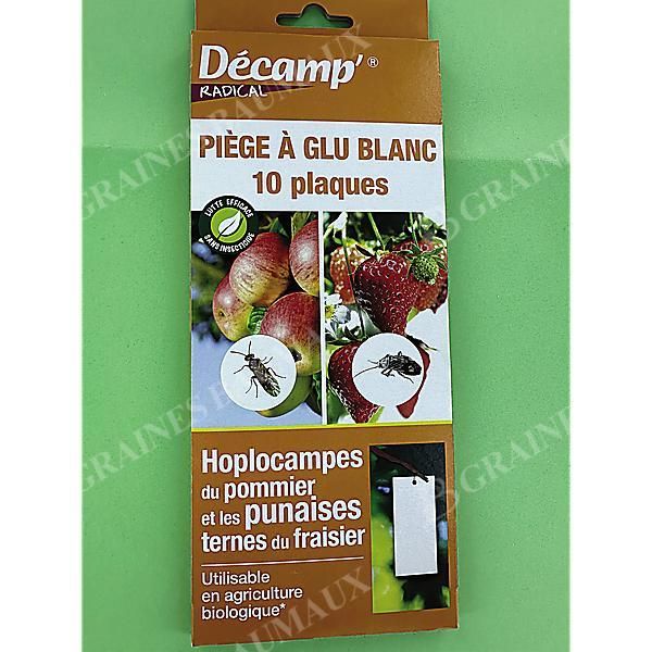 PIÈGES ENGLUÉS CHROMATIQUES BLANC