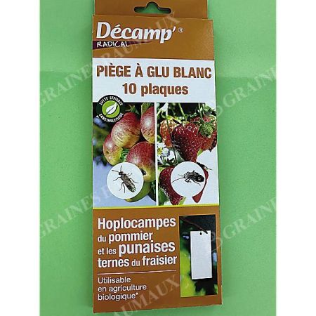 PIÈGES ENGLUÉS CHROMATIQUES BLANC