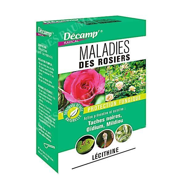 MALADIES des ROSIERS