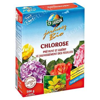 CHLOROSE
