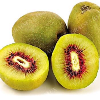 KIWI (actinidia deliciosa) femelle RED KIWI®