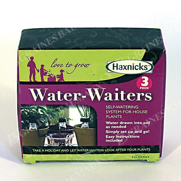 WATER WAITERS