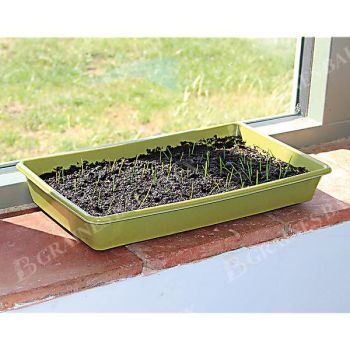 BAMBOO SEED TRAY