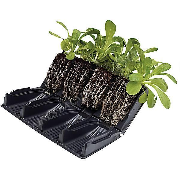 COMPACT RAPID ROOTRAINER™